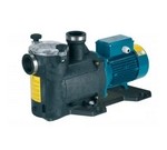 ELETTROPOMPE CALPEDA PER PISCINE CON PREFILTRO