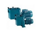 ELETTROPOMPE CALPEDA CON PREFILTRO IN GHISA